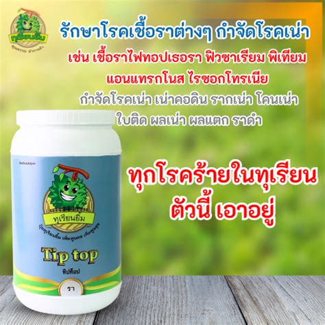 tip top lazada