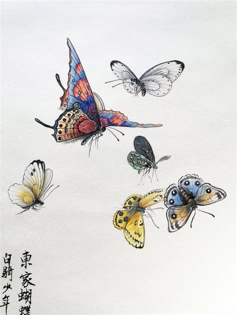 Butterflies Original Chinese Ink Painting Traditional Gongbi Style