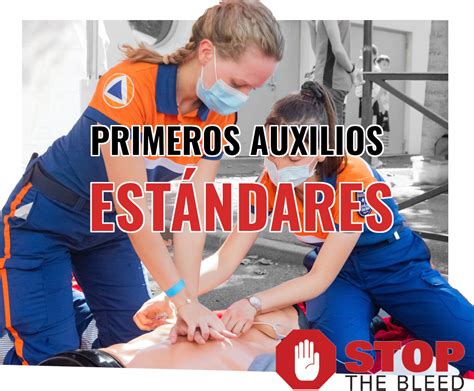 Otros Servicios Las Academy Mexico