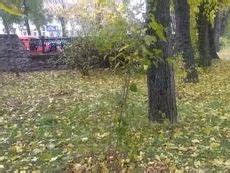 Id Irina From Kherson Ukraine Years Old Brunette Brown Eyes