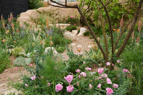 The Choose Love Garden Rhs Chelsea Flower Show 2023 — Planty Projects