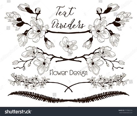 Black Hand Drawn Floral Text Dividers Stock Vector Royalty Free 777085219