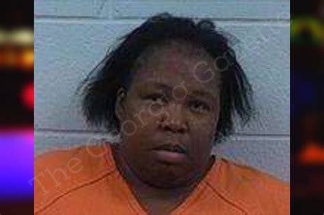 Paulette Lester Polk County Jail Bookings