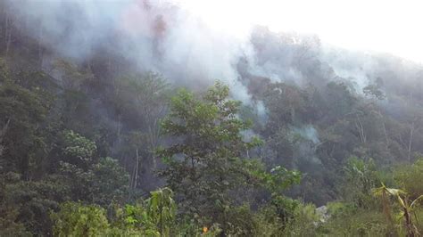 Incendio Forestal En Cusco Fuego Consumió 25 Hectáreas De Terreno Fotos Peru El Comercio PerÚ