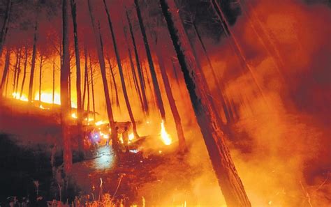 Uttarkashi To Yamunotri — Forest Fires Rage In Uttarakhand