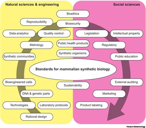 Exploring Standards For Multicellular Mammalian Synthetic Biology