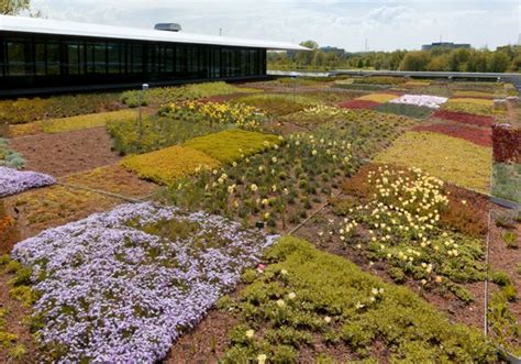 Chicago Botanic Garden Green Roof