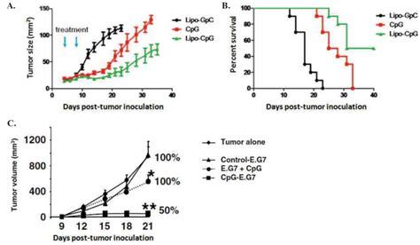 Effet du CpG fixé à la surface de cellules tumorales A B Etude du