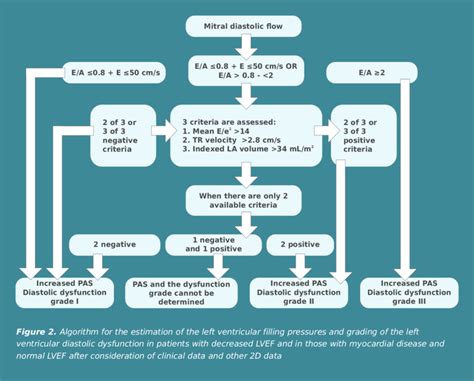 What Does Grade Left Ventricular Diastolic Dysfunction Mean Amber