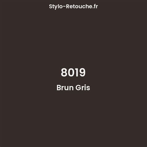 RAL 8019 Brun Gris Opaque En Stylo Retouche Stylo Retouche Fr