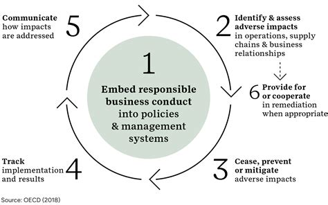 How Business Can Adapt To New Environmental And Human Rights Due