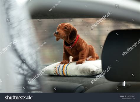 192 Dog Bobble Images Stock Photos And Vectors Shutterstock