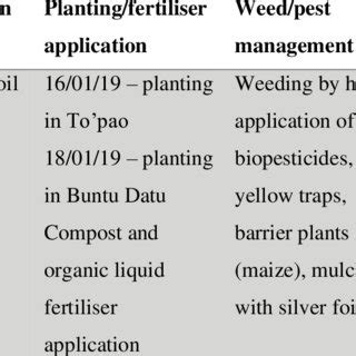 Steps in chilli cultivation of 'Katokkon' landraces (Capsicum chinense... | Download Scientific ...