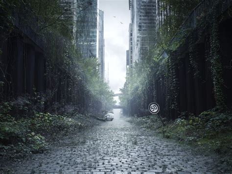 Creating a dystopia - creative writing and arts home project | Teaching ...