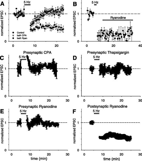 Calcium Release From Presynaptic Ryanodine Sensitive Stores Is Required