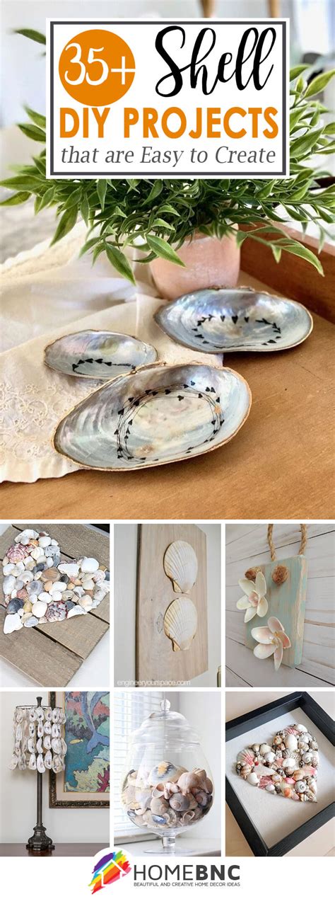 Best DIY Shell Projects — Homebnc