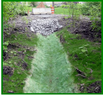 Stormwater Management in Ontario: Strategies and Innovations