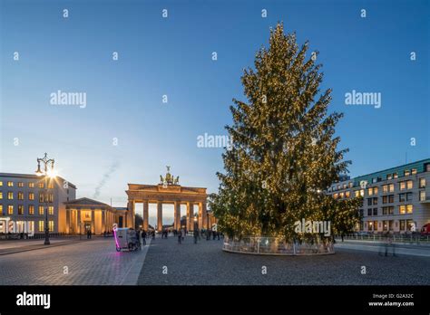 Christmas Tree Pariser Platz Brandenburg Gate Berlin Germany