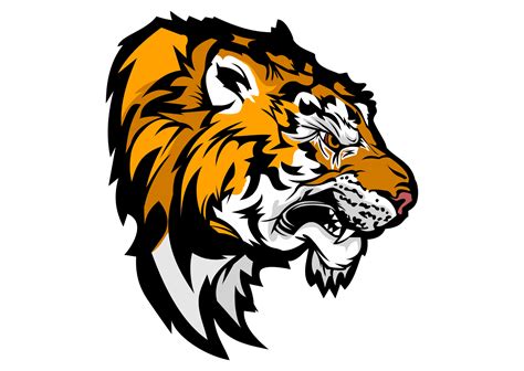 Konsep 22 Gambar Harimau Png