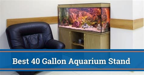 The Best 40 Gallon Aquarium Stand For 2023 Breeder Long