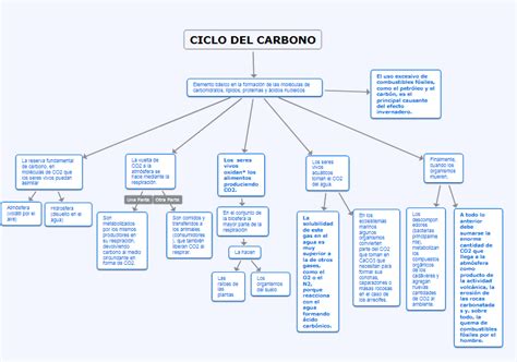 View Mapa Conceptual Del Ciclo Del Carbono Maesta Porn Sex Picture