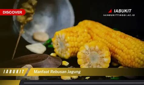 Intip 7 Manfaat Rebusan Jagung Yang Jarang Diketahui Discover