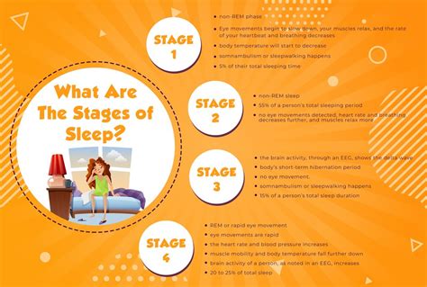 Stages Of Sleep