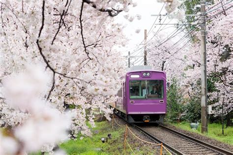 Premium Photo Local Train Traveling On Rail Tracks With Cherry