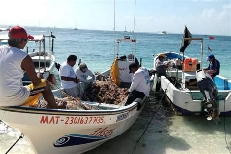 Encuentran El Cuerpo Del Pescador Desaparecido En Isla Mujeres Se