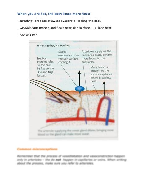 Solution Homeostasis Biology Notes Igcse 2014 Studypool