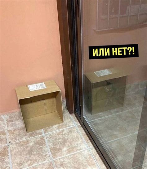 Кот Шрёдингера | Пикабу