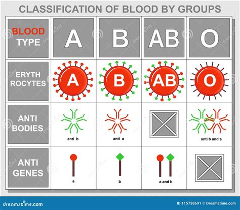 Background Table About Hematology Blood Type Stock Vector