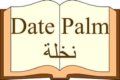 The Topic Date Palm Mentioned In Quran The Last Dialogue