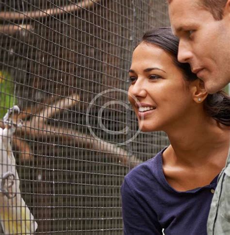 Animals The Belize Zoo