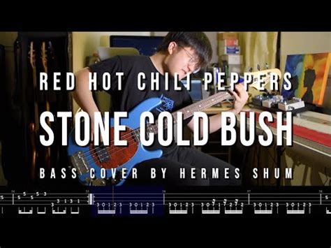 Red Hot Chili Peppersstone Cold Bushbass Cover Play Along Tab Youtube