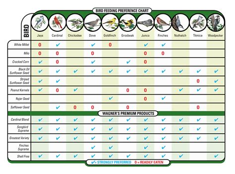 bird seed types