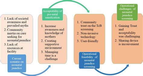 Knowledge Attitudes And Practices Regards Neonatal Jaundice Among