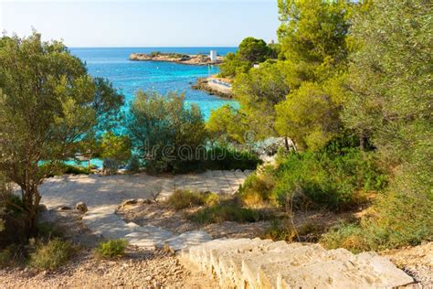 Stairs To The Beach Stock Image Image Of Tropical Shore 270958767