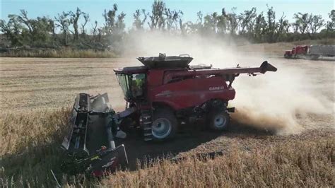 arganbright farms youtube