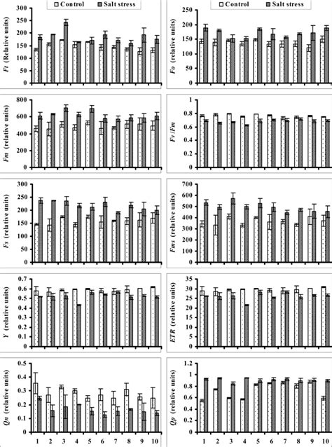 Chlorophyll Fluorescence Attributes Of Some Newly Developed Wheat