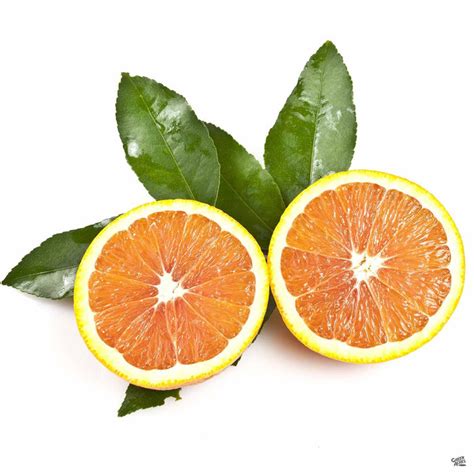 Navel Orange Cara Cara Semi Dwarf — Green Acres Nursery And Supply