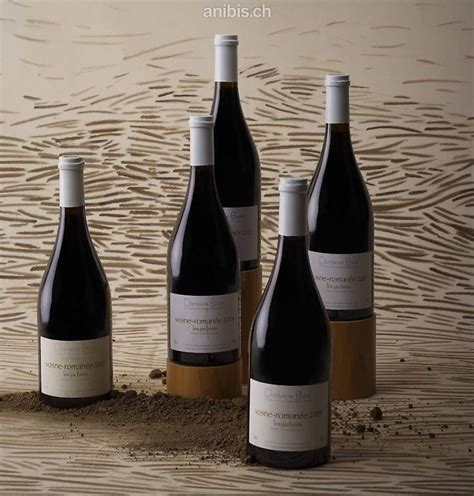 Vins Jean Yves Bizot Assortiment Canton Vaud Anibis Ch