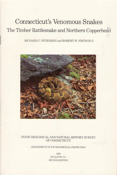 Buy Connecticut's venomous snakes: The timber rattlesnake and northern