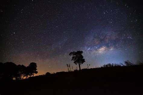 Belle Voie Lact E Et Silhouette D Arbre Sur Un Ciel Nocturne Avant Le