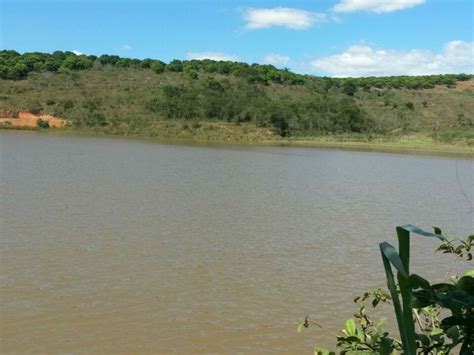 G Homem Morre Afogado Em Lagoa Em Visconde Do Rio Branco Mg