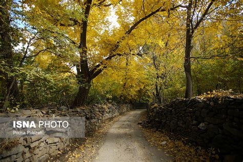 تصاویر خبری روز ۱۹ آبان ۱۳۹۸ از ایران و جهان