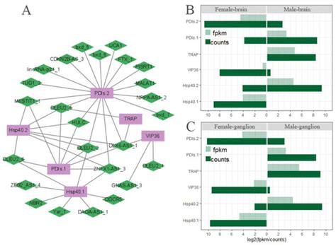 Biomolecules Free Full Text Full Length Transcriptomes And Sex