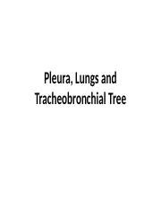 Respiratory System Part Pptx Pleura Lungs And Tracheobronchial Tree