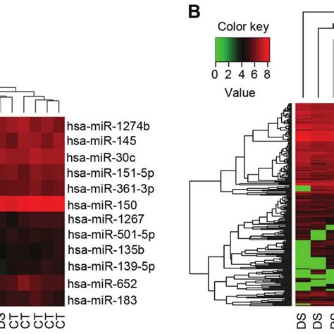 Bidirectional Hierarchical Clustering And Heat Map Of Differentially