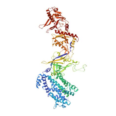 RCSB PDB - 8H9D: Crystal structure of Cas12a protein